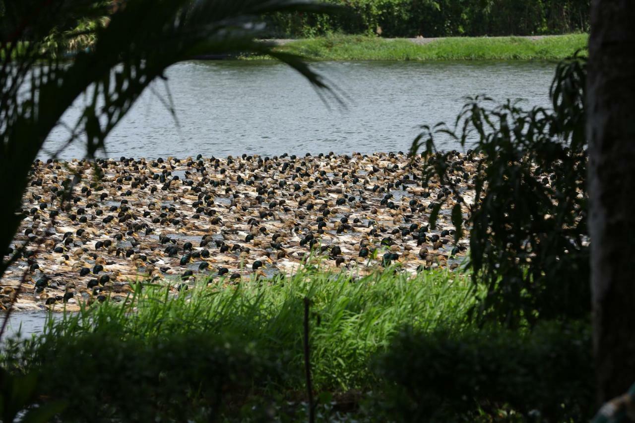 Alappuzha Green Palace Ayurveda Resort, Alleppey מראה חיצוני תמונה